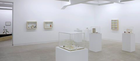 Gianfranco Baruchello, La Formule, Installation view, 2009/2010, Galerie Michael Janssen Berlin