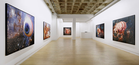 Christoph Steinmeyer, Bilder für Alle und Keinen, Installation view, 2014, Galerie Michael Janssen Berlin