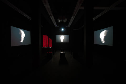 Ho Tzu Nyen, Pythagoras, Installation view, 2013, Galerie Michael Janssen Singapore