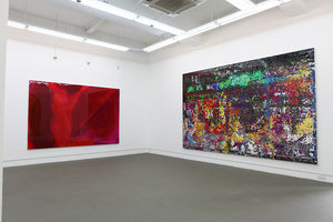 Peter Zimmermann, Crystal & Fruits, Installation view, 2013, Galerie Michael Janssen Singapore