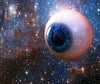 Christoph Steinmeyer, Augenblick (Moment/Glance), 2014