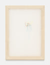 Jana Cordenier, Untitled, 2019