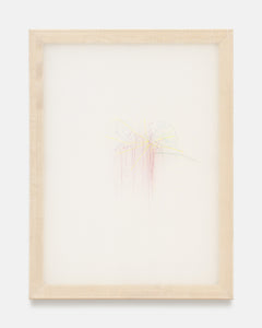 Jana Cordenier, Untitled, 2019